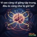 Vì sao càng cố gắng tập trung, đầu óc càng như bị giữ lại?