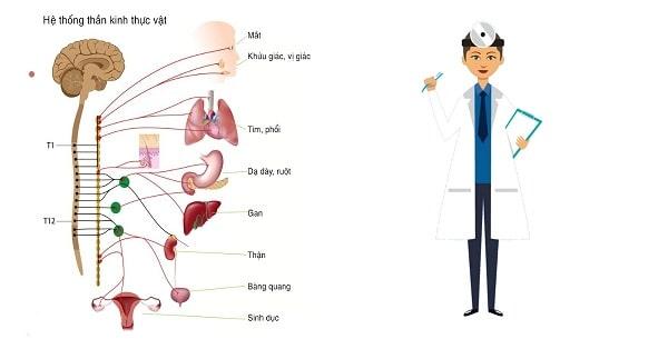 9 nguyên nhân gây ra bệnh rối loạn thần kinh thực vật