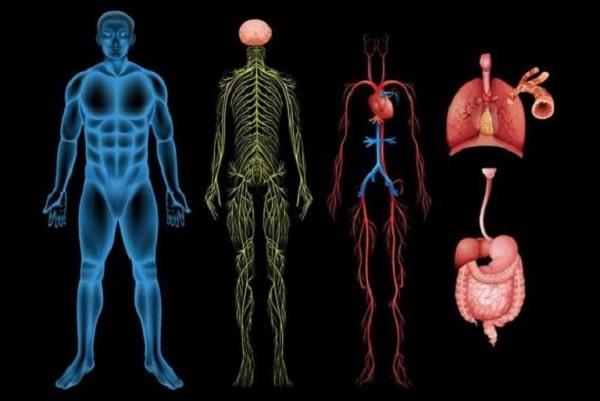 Biện pháp tự khắc phục bệnh rối loạn thần kinh thực vật tại nhà