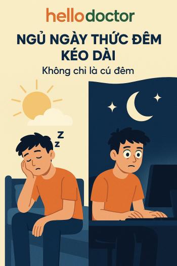 Ngủ ngày thức đêm kéo dài – Không chỉ là cú đêm Ngủ ngày thức đêm kéo dài – Không chỉ là cú đêm