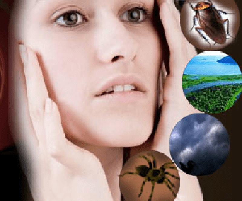Ám ảnh sợ hãi Phobia