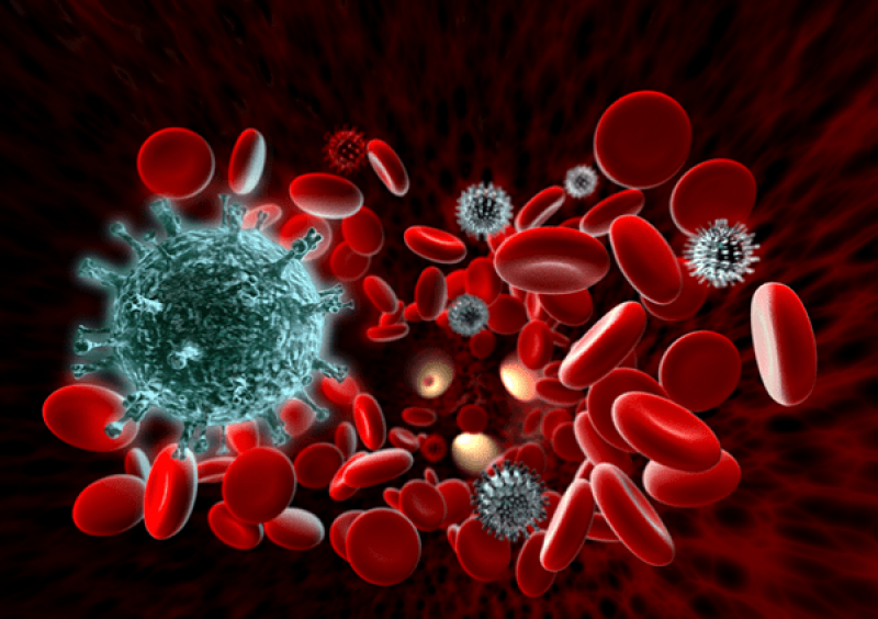 Bệnh hiv bắt nguồn từ đâu? Có những loại HIV nào?