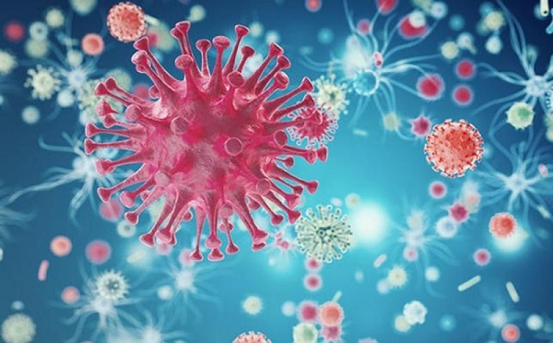 Bệnh HIV có dễ lây không? Điều kiện để lây nhiễm HIV là gì? Bệnh HIV có dễ lây không? Điều kiện để lây nhiễm HIV là gì?