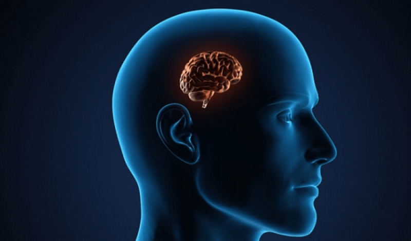 Bệnh mất trí nhớ Alzheimer là gì? Có tính di truyền không? Bệnh mất trí nhớ Alzheimer là gì? Có tính di truyền không?