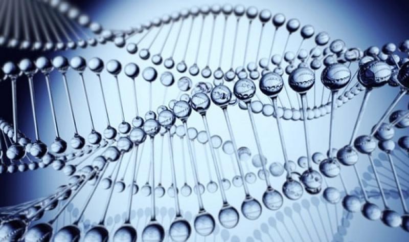 Bệnh tâm thần phân liệt có di truyền không?