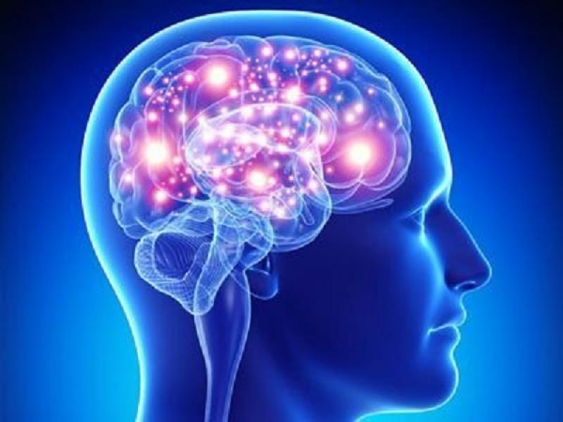 Tổn thương não là gì? Có nguy hiểm không? Tổn thương não là gì? Có nguy hiểm không?
