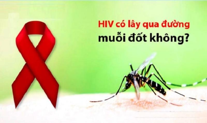 Bị muỗi đốt có thể bị lây nhiễm HIV không?