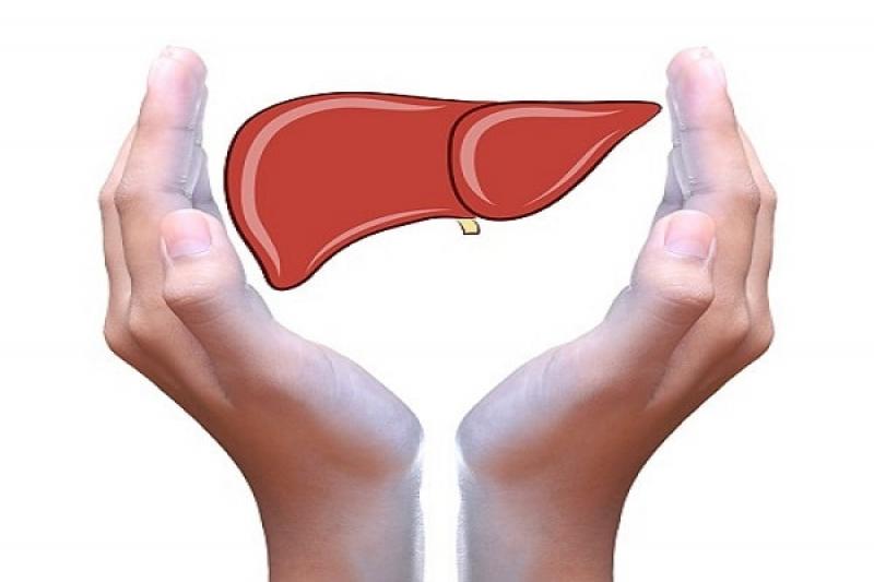 Các biện pháp phòng chống bệnh xơ gan hiệu quả