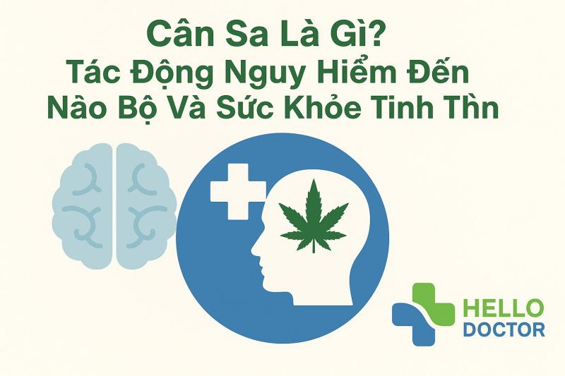 Cần sa là gì? Tác động nguy hiểm đến não bộ và sức khỏe tinh thần