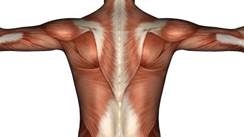 Có cần phẫu thuật để điều trị bệnh teo cơ không? Có cần phẫu thuật để điều trị bệnh teo cơ không?