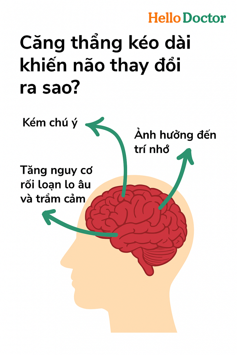 Căng thẳng kéo dài khiến não thay đổi ra sao? Căng thẳng kéo dài khiến não thay đổi ra sao?