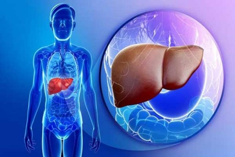 Dấu hiệu, biểu hiện và triệu chứng của bệnh viêm gan C