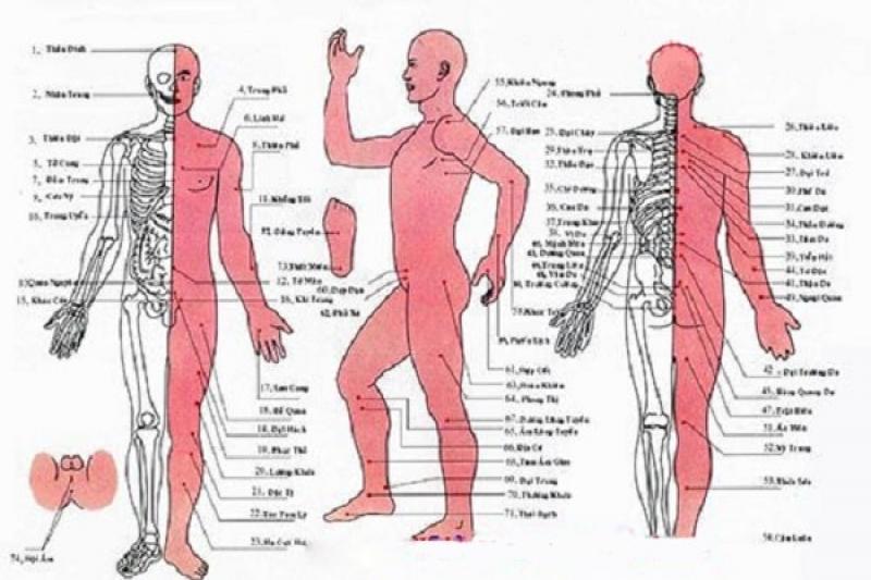 Các cách điều trị chữa bệnh đau dây thần kinh liên sườn