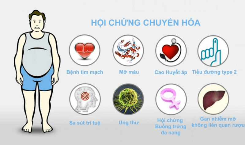 Hội chứng chuyển hóa Hội chứng chuyển hóa