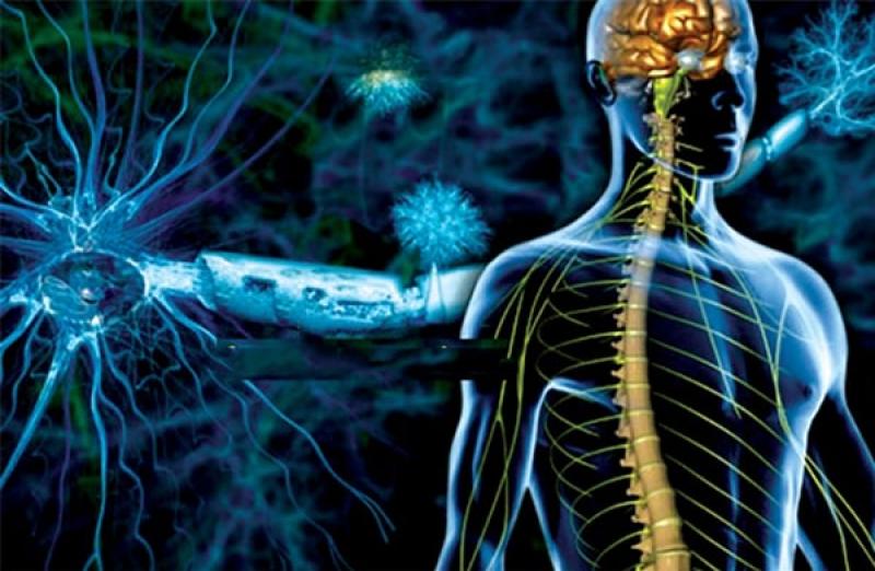 Hỏi đáp: Bệnh rối loạn thần kinh thực vật có chữa được không?