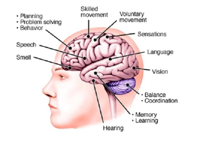 Mất ngôn ngữ nguyên phát tiến triển
