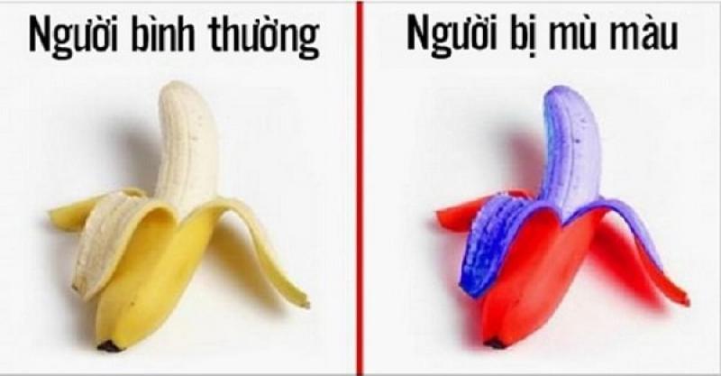 Mù màu