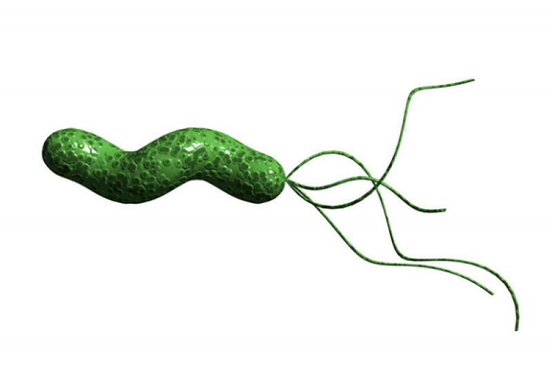 Nhiễm khuẩn Helicobacter Pylori - HP