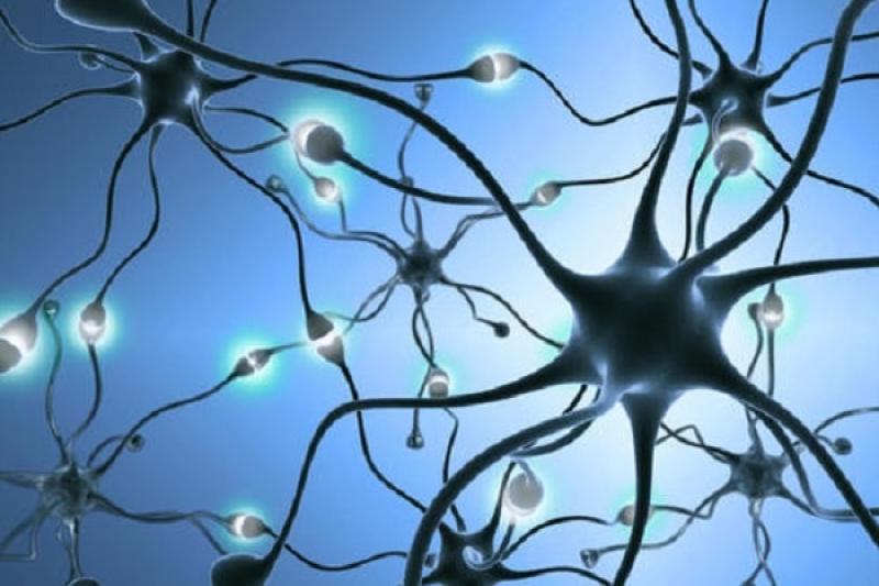 11 Biện pháp giúp phòng chống rối loạn trí nhớ hiệu quả