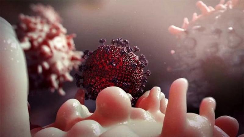 Tác hại của bệnh HIV là gì?