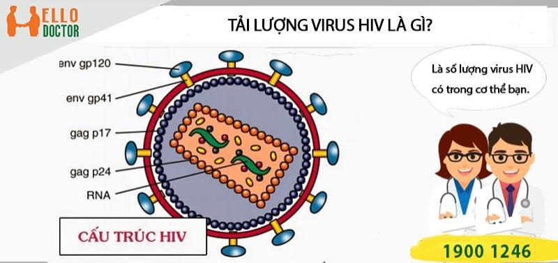Tải lượng Virus HIV là gì? Cách đọc kết quả xét nghiệm HIV