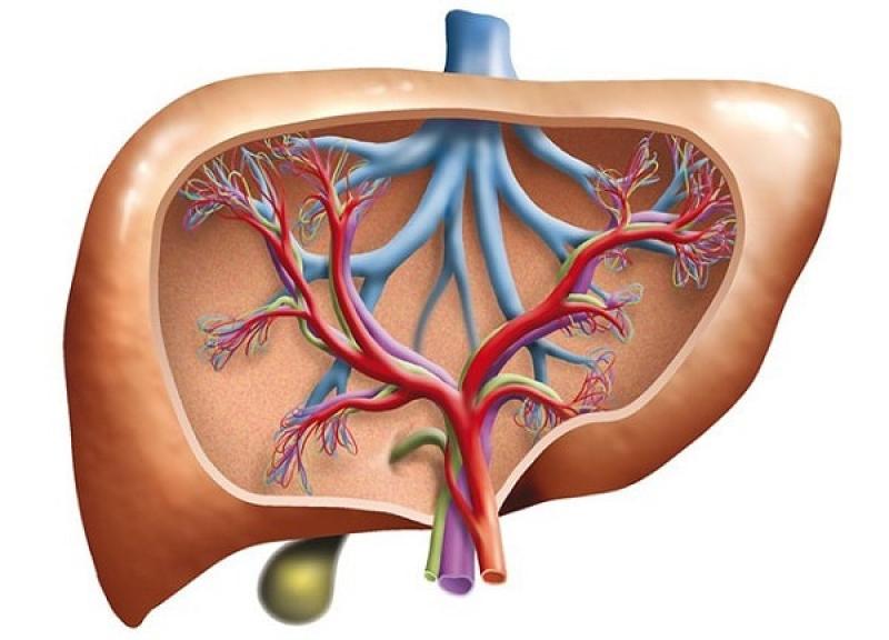 Xơ gan ứ mật nguyên phát