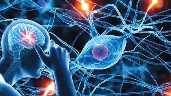 Hỏi đáp: Bệnh rối loạn thần kinh thực vật có nguy hiểm không?