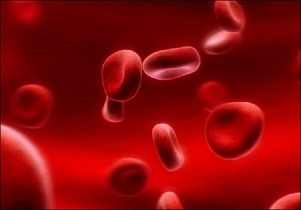 Những biện pháp nào có thể được áp dụng để nâng cao huyết sắc tố trung bình hồng cầu?
