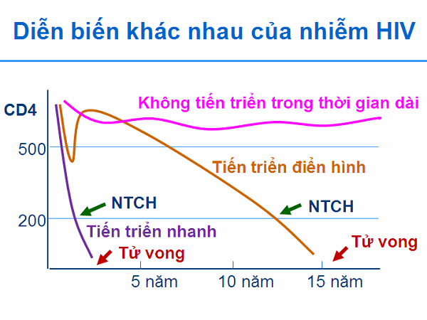 Các giai đoạn của bệnh HIV