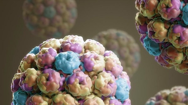 Nguồn gốc của bệnh HIV bắt nguồn từ virus SIV trên khỉ