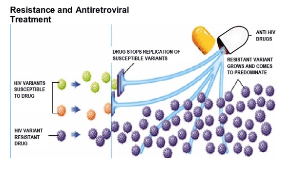 Cơ chế phát triển của hiện tượng hiv kháng thuốc arv Cơ chế phát triển của hiện tượng hiv kháng thuốc arv