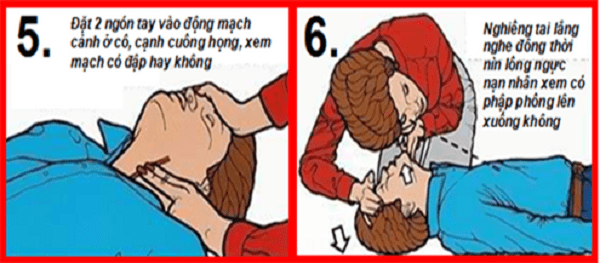 Bước 5, 6 của phương pháp CPR