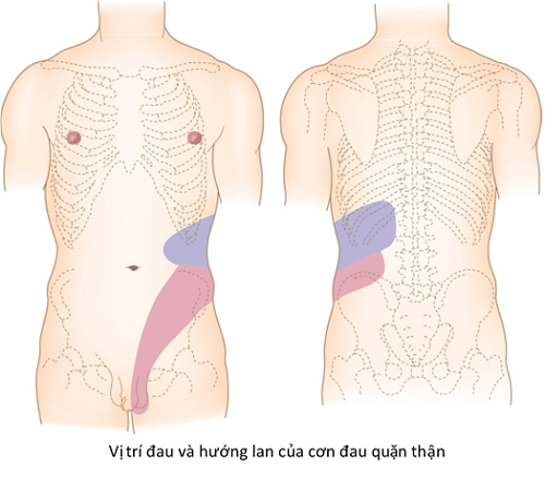 4. Cách xử lý đau quặn bụng tại nhà