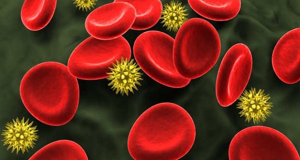 Virus HIV nhân lên và phá hủy hệ miễn dịch