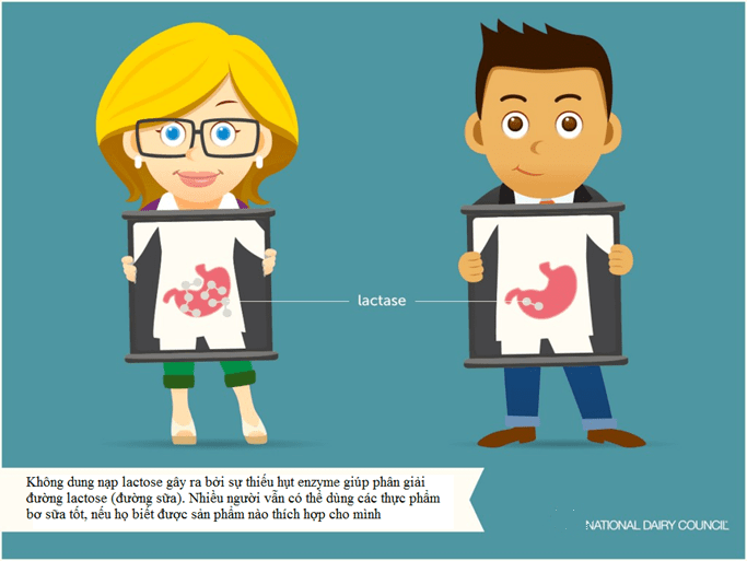 Nguyên nhân gây ra không dung nạp lactose