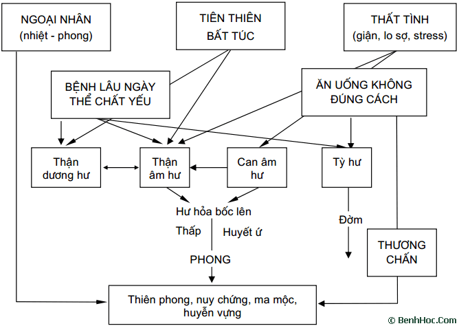 Tổng quan về Tai Biến Mạch Máu Não Theo Y Học Cổ Truyền