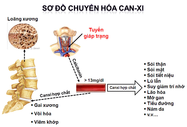 Phương pháp chẩn đoán