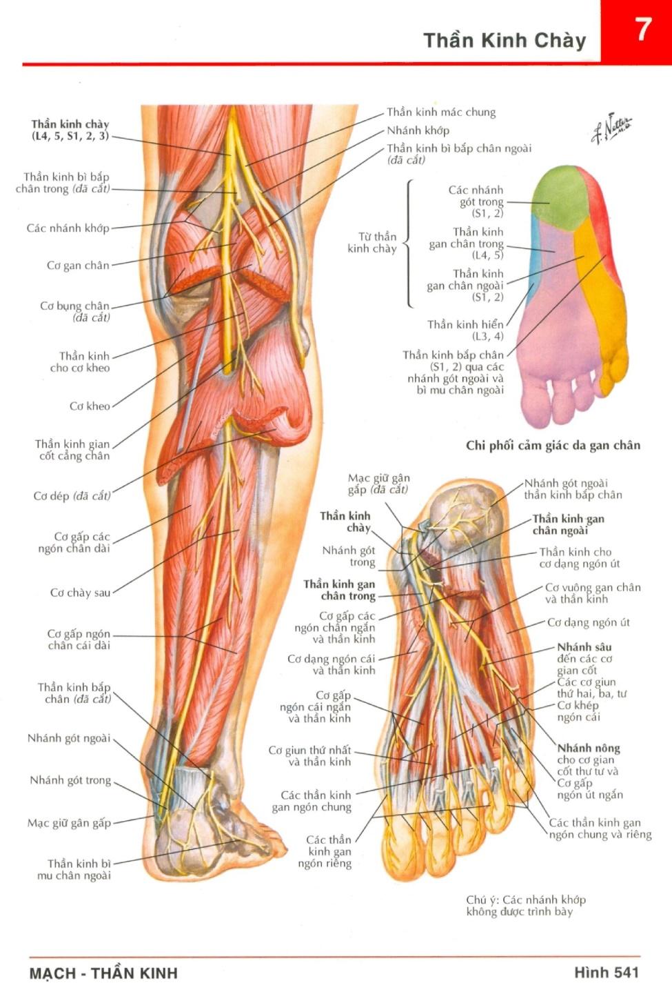 4. Các Phương Pháp Điều Trị