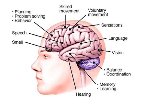 Mất ngôn ngữ nguyên phát tiến triển