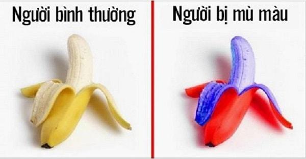 Mù màu