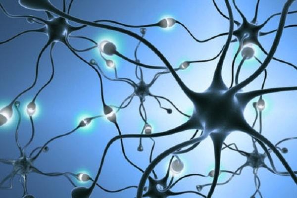 11 Biện pháp giúp phòng chống rối loạn trí nhớ hiệu quả