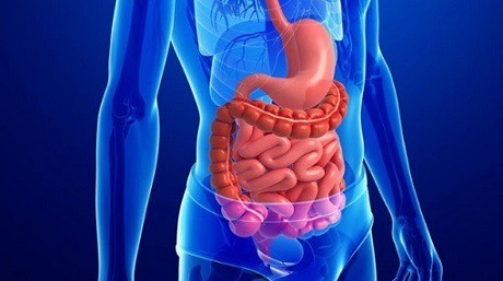 Chữa viêm đại tràng co thắt tận gốc nhờ cân bằng lợi khuẩn đường ruột